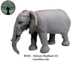 M141 - African Elephant (1)