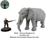 M141 - African Elephant (1)